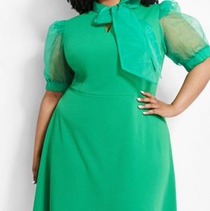 Brand new Green Organza Sleeve Dress